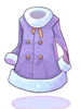 Icon of Coat
