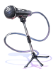 Icon of Costume Standing Mic