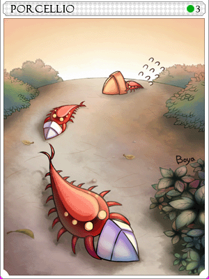 Icon of Porcellio Card