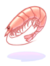 Icon of Shrimp