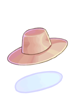 Icon of Hat Of Expert
