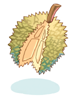 Icon of Durian
