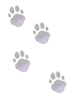 Icon of Cat Tread