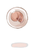 Icon of Embryo