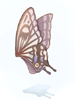 Icon of Giant Butterfly Wing