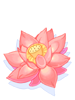 Icon of Lotus Flower
