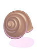 Icon of Snail's Shell