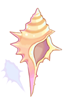 Icon of Conch